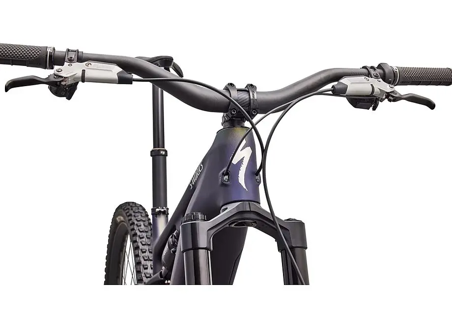 LEVO SW CARBON G4 GLDPRL/CARB/CHRM image 14
