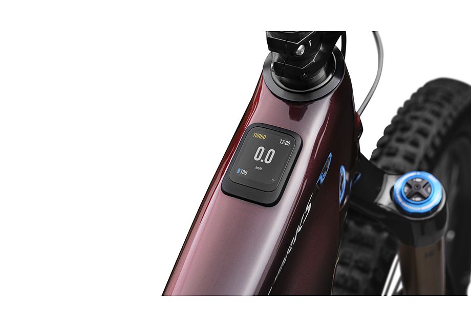 LEVO SW CARBON G4 image 43