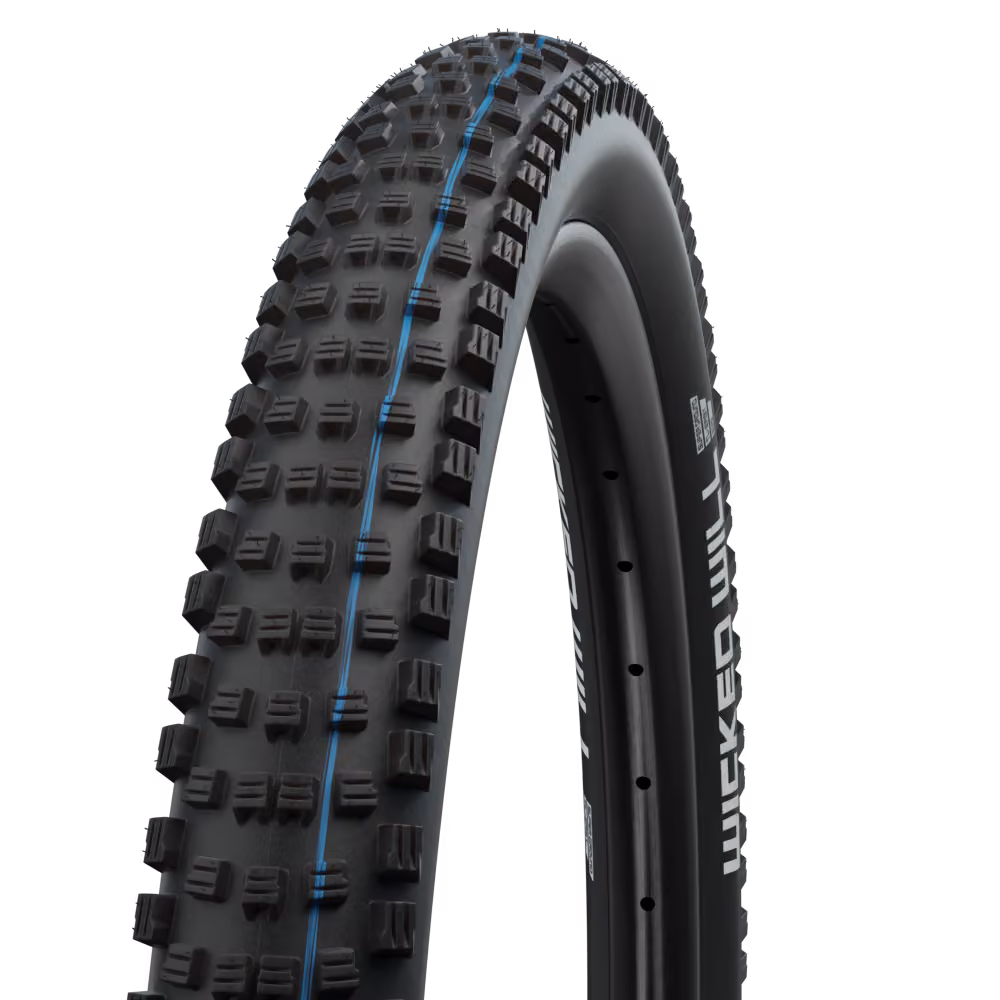 Schwalbe Wicked Will 29