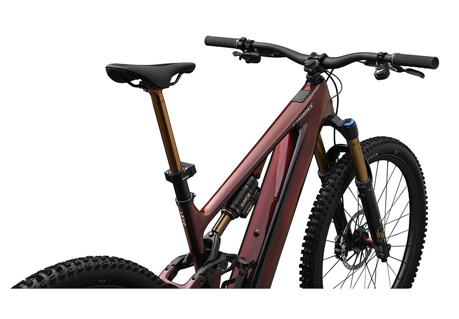 LEVO SW CARBON G4 image 38