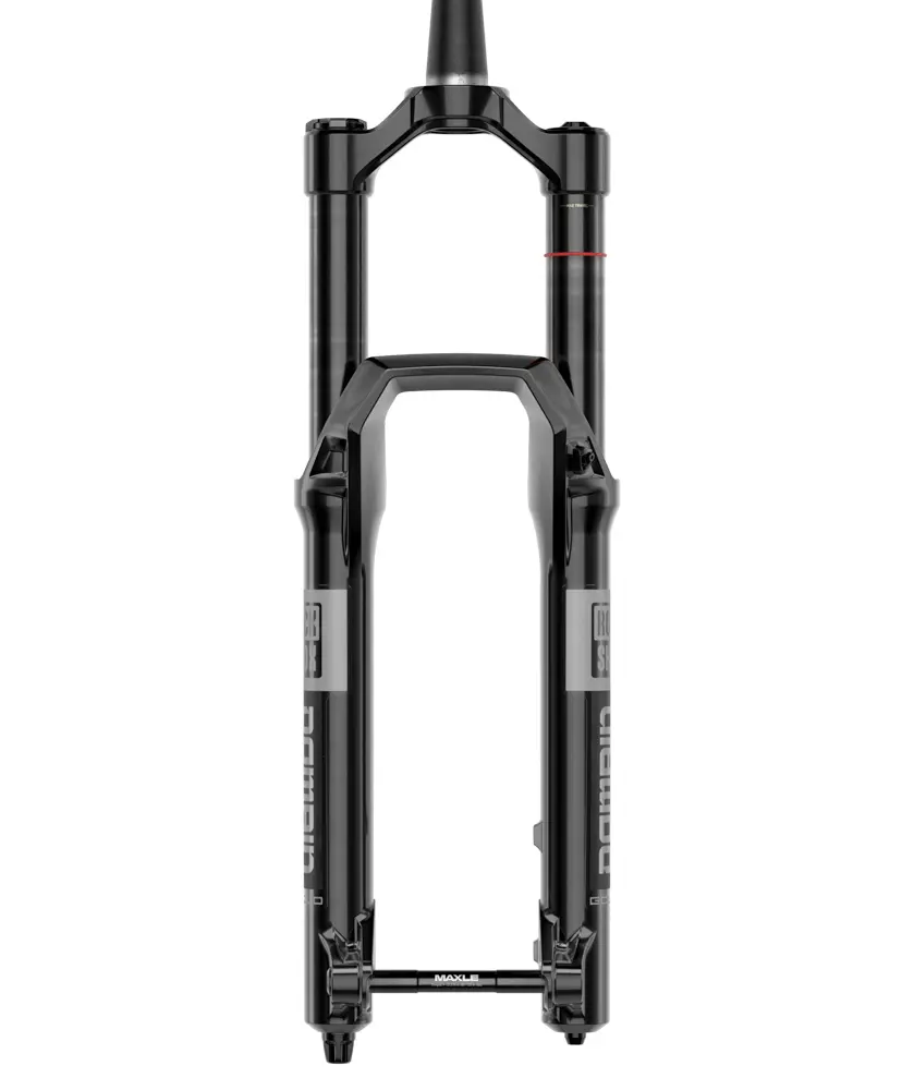 RockShox Domain Gold RC image 9