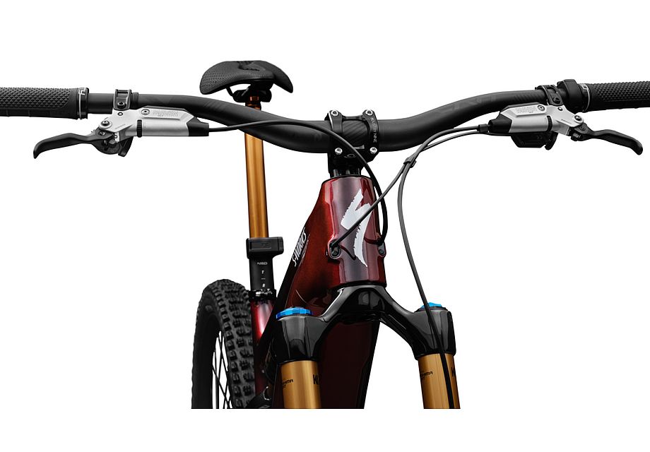LEVO SW CARBON G4 image 39