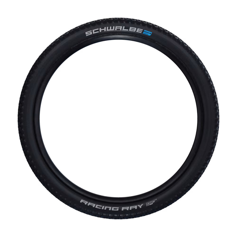 Schwalbe Racing Ray 29