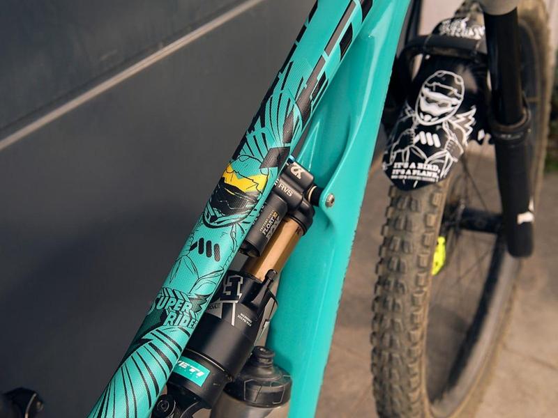 All Mountain Style - Super Rider Frame Guard image 2