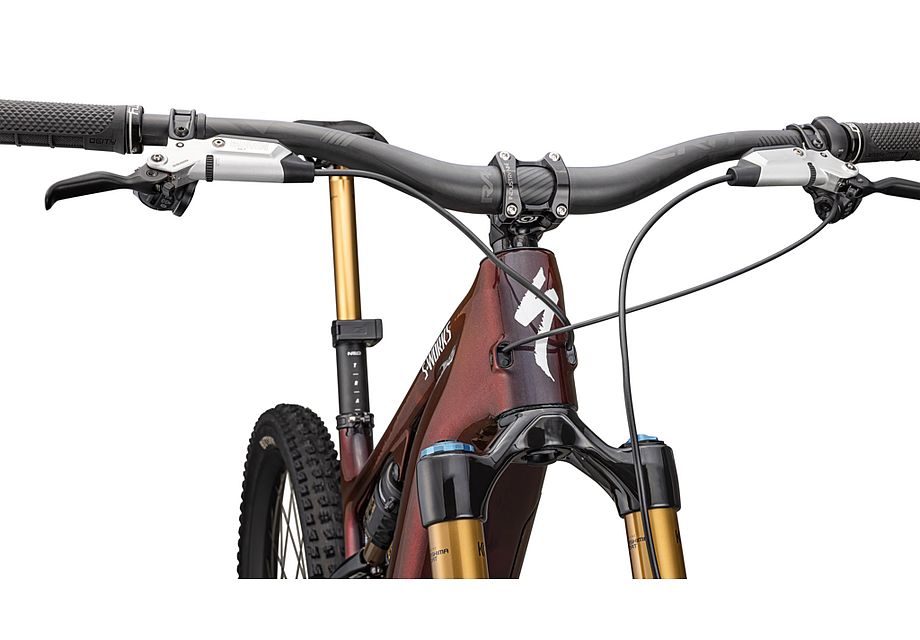 LEVO SW CARBON G4 image 27
