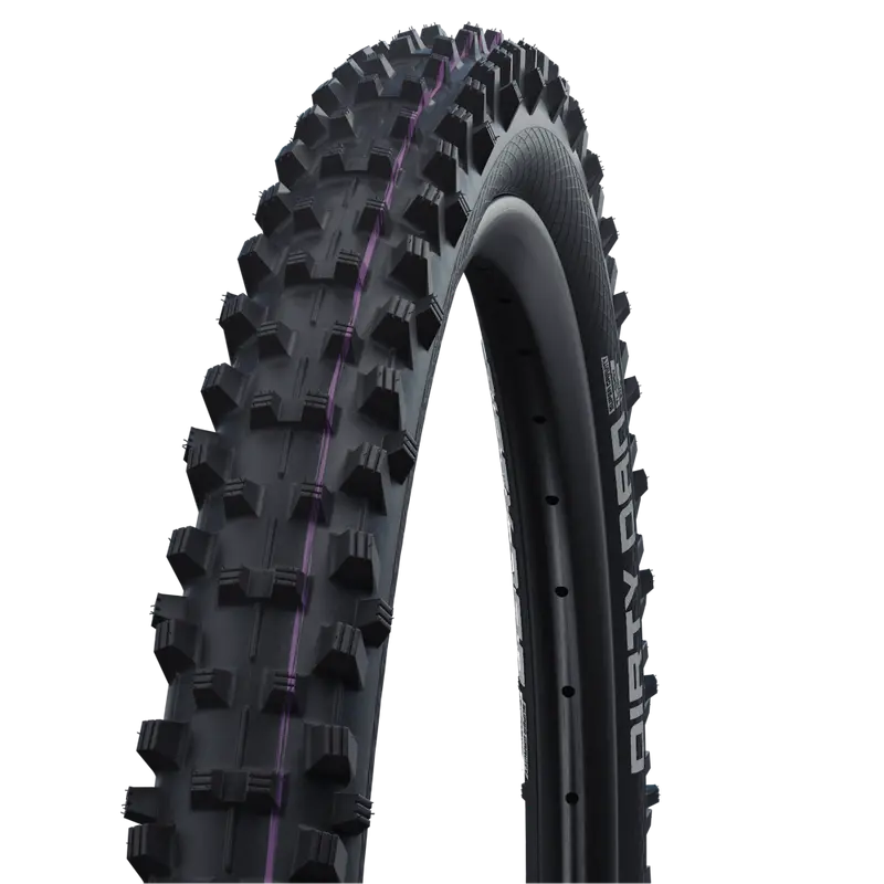 Schwalbe Tyre Dirty Dan image 2
