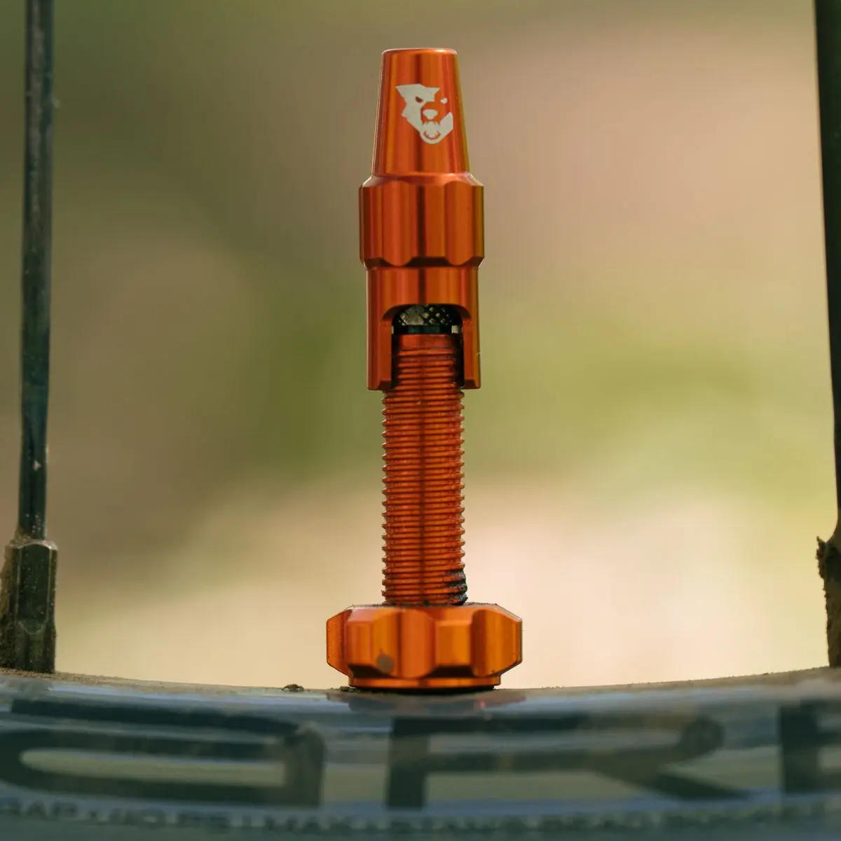 WOLF TOOTH - TUBELESS VALVE STEM KIT FOR CLIK VALVE - 60MM image 12