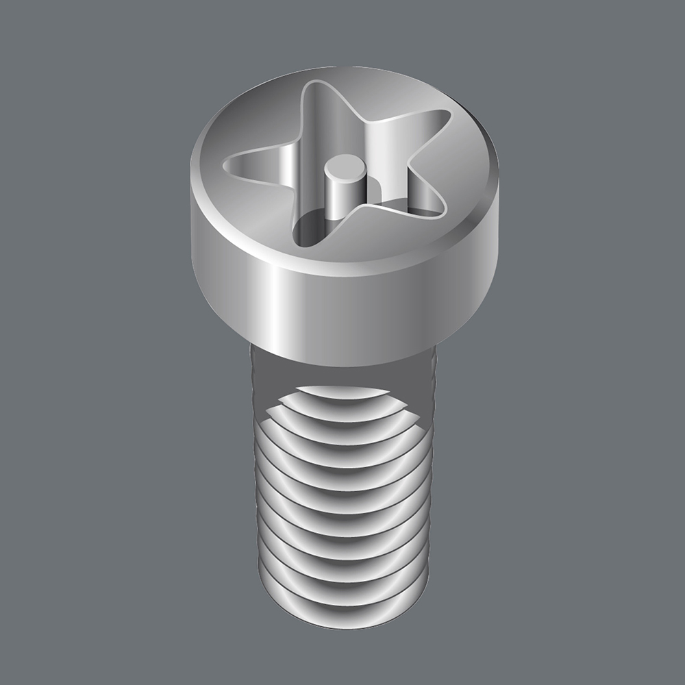 Wera TX25 Tamper-Proof TORX Bit image 2