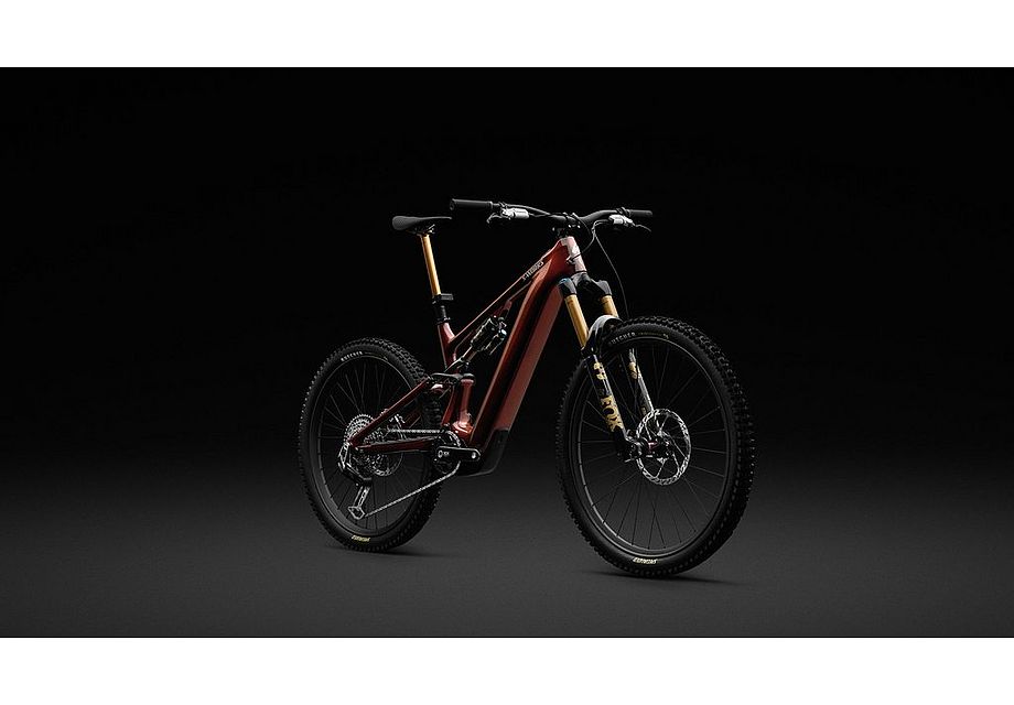 LEVO SW CARBON G4 image 33