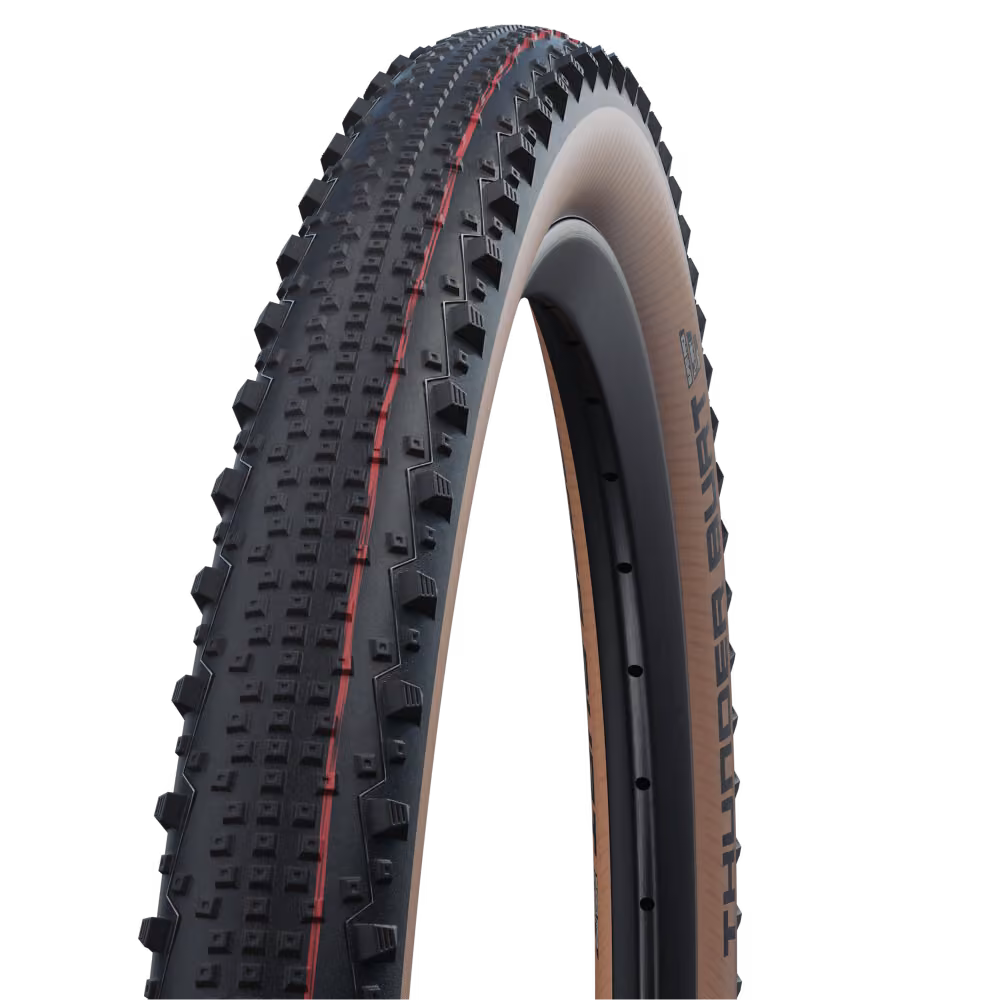 Schwalbe Thunder Burt 29