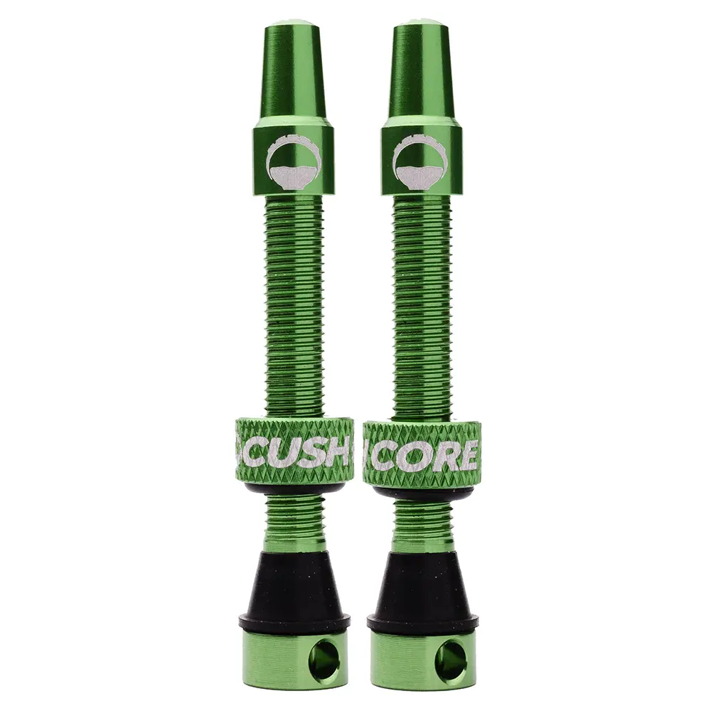 Cush Core Valves