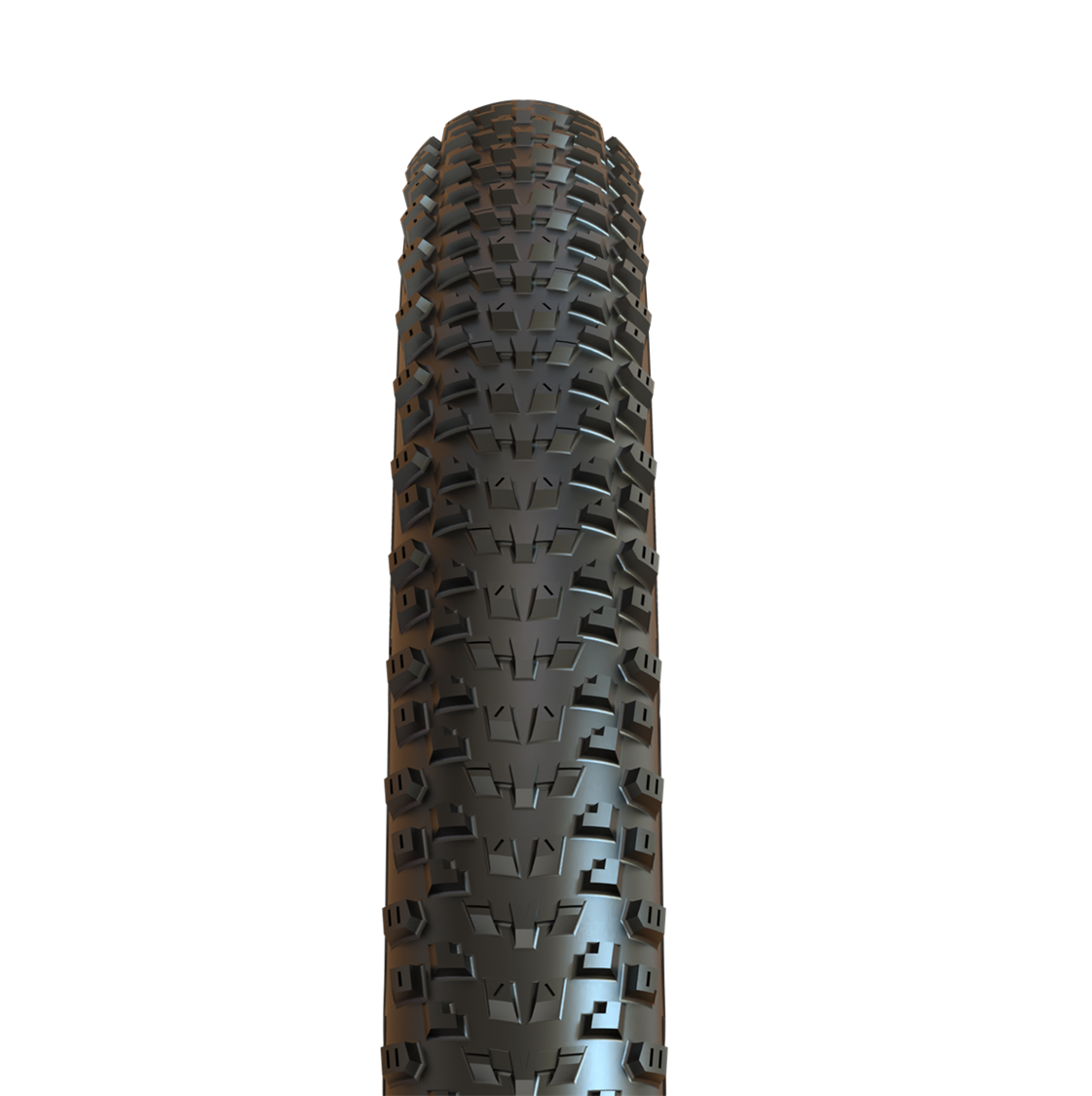 Maxxis - 20