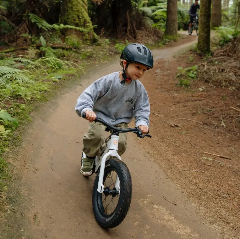 Kids Ride Shotgun - NEW 2026 Dirt Hero Off-Road Balance Bikes image 2