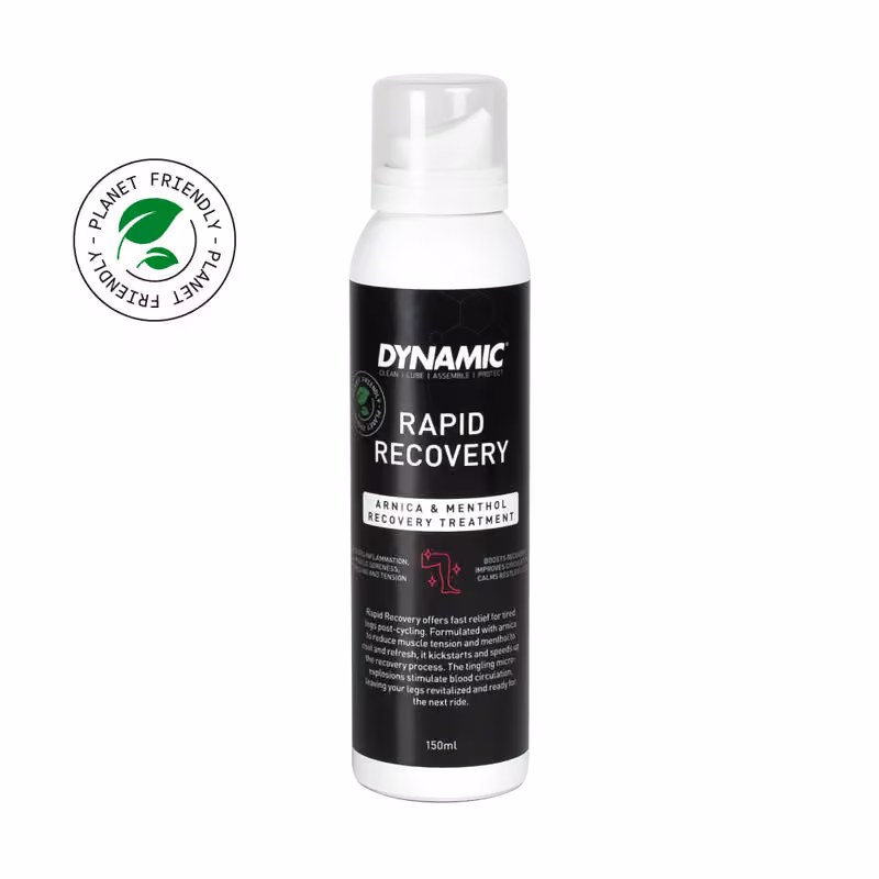 Dynamic Rapid Recovery