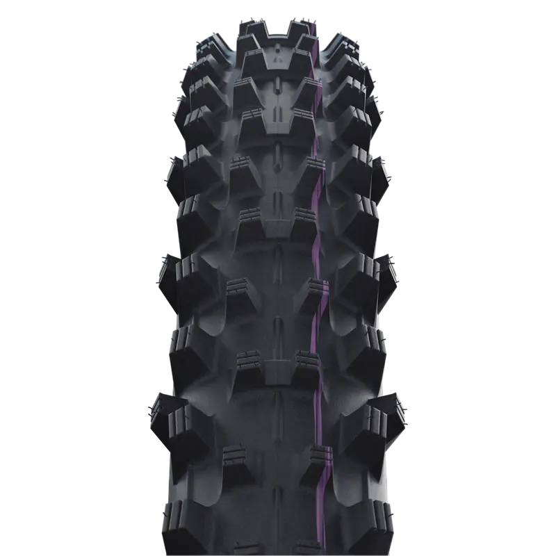 Schwalbe Tyre Dirty Dan
