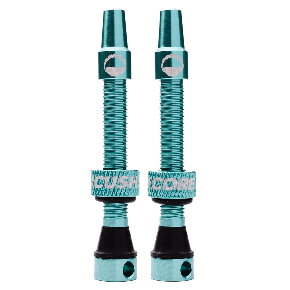 Cush Core Valves image 7