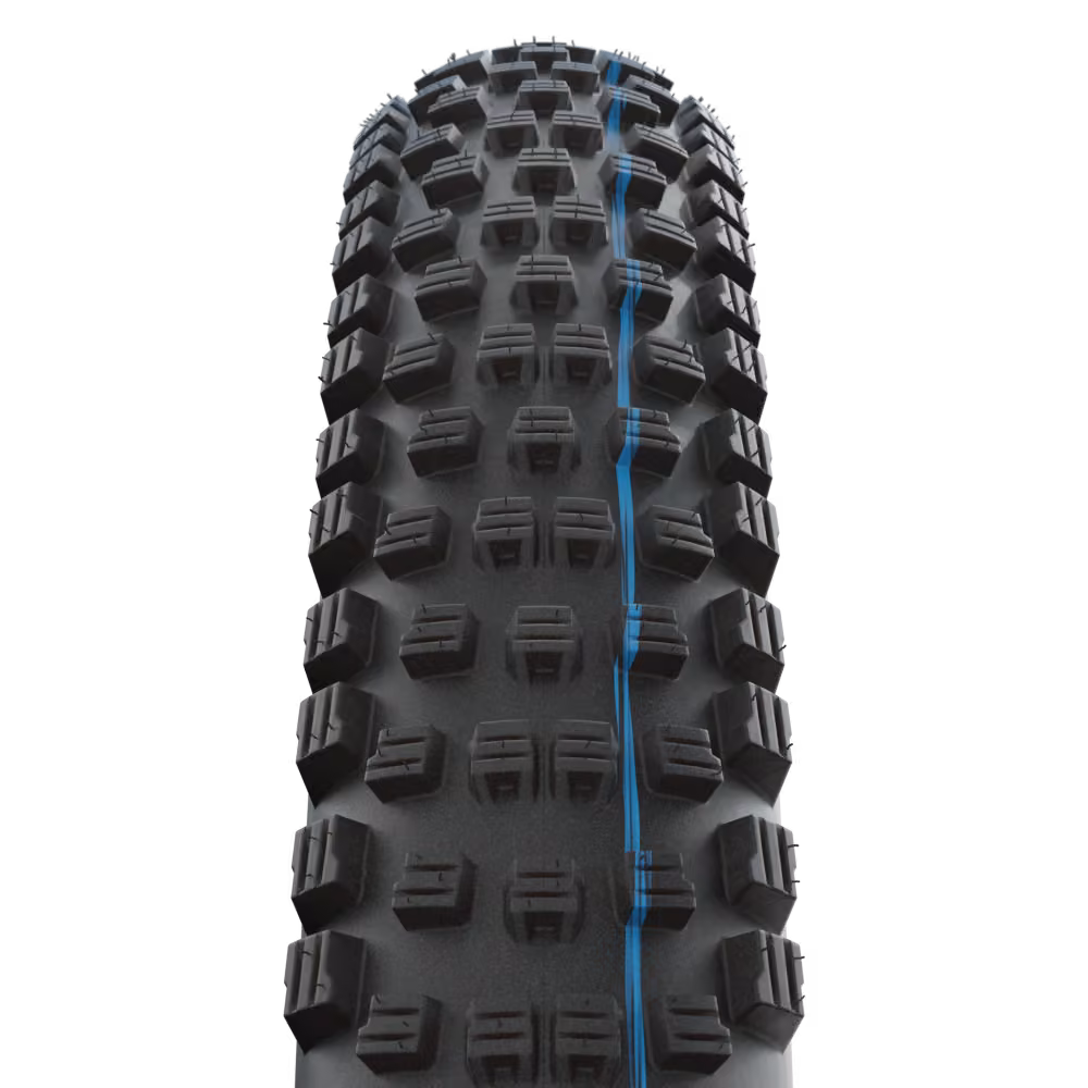 Schwalbe Wicked Will 29