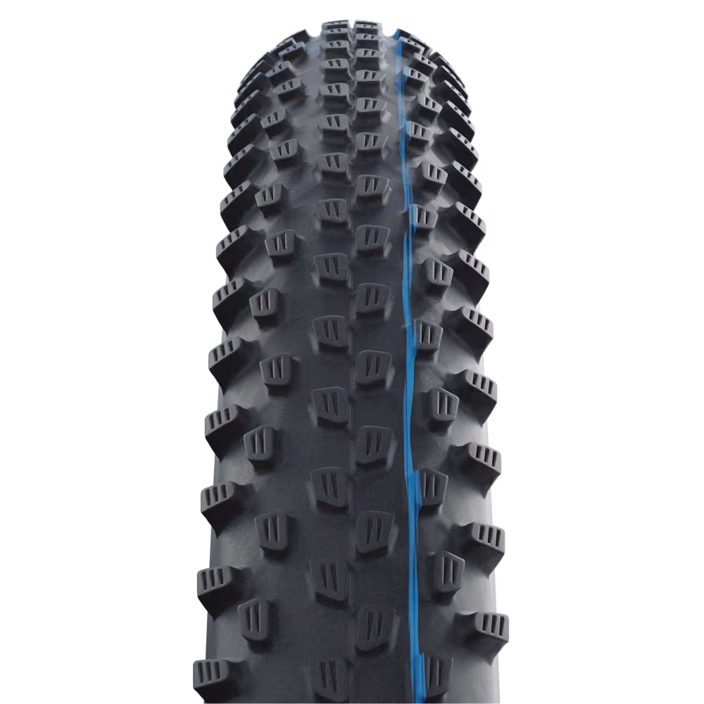 Schwalbe Racing Ray 29