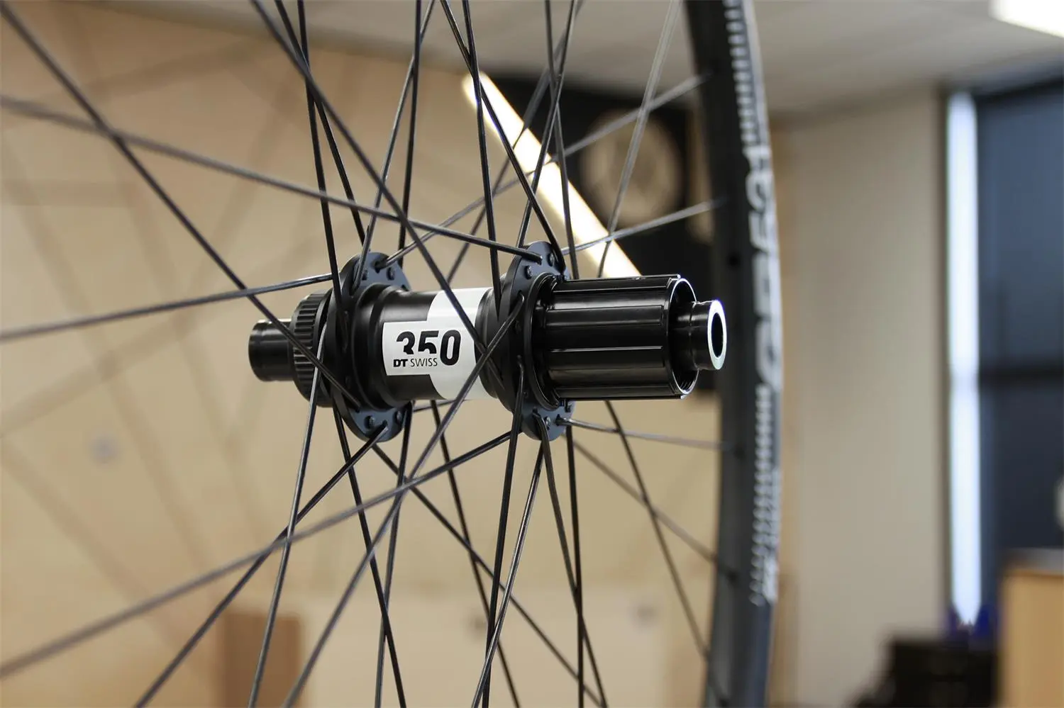 Marleen Hand Built Wheels - DT Swiss GR531/350 image 9