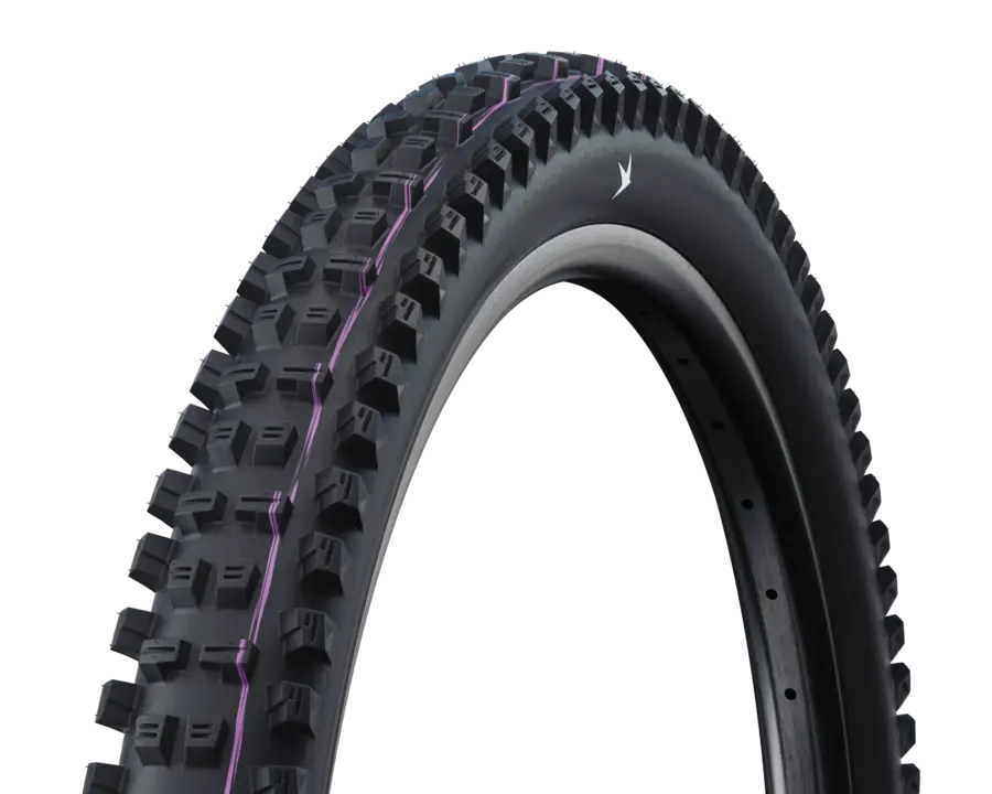 Schwalbe Tacky Chan Radial image 2