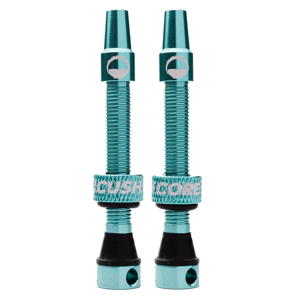 Cush Core Valves image 7