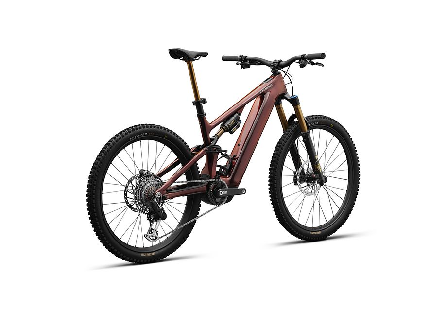 LEVO SW CARBON G4 image 37