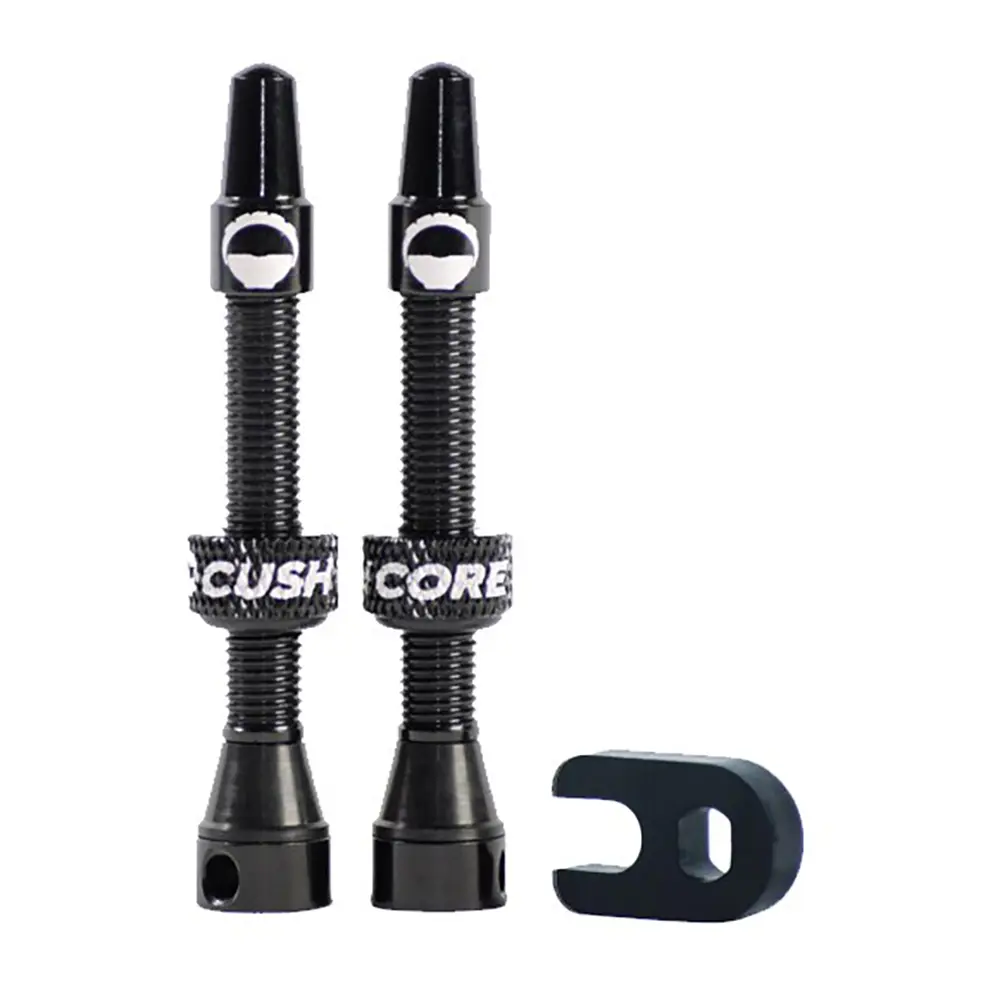 Cush Core Valves image 9