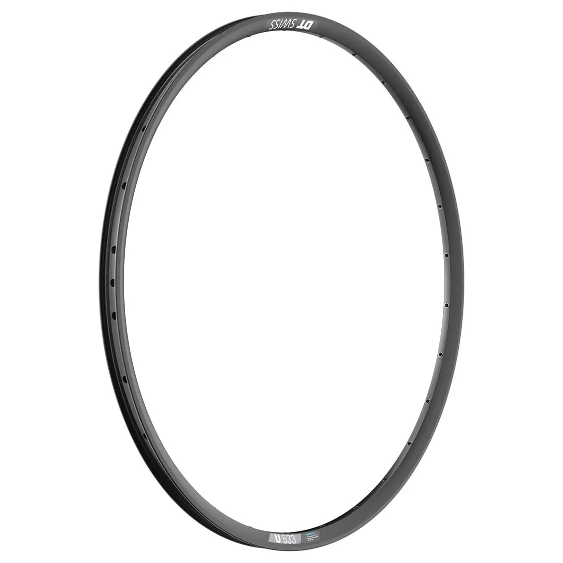 DT Swiss - U 533 Disc Brake Rim image 2