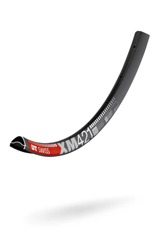 DT Swiss -XM 421 29
