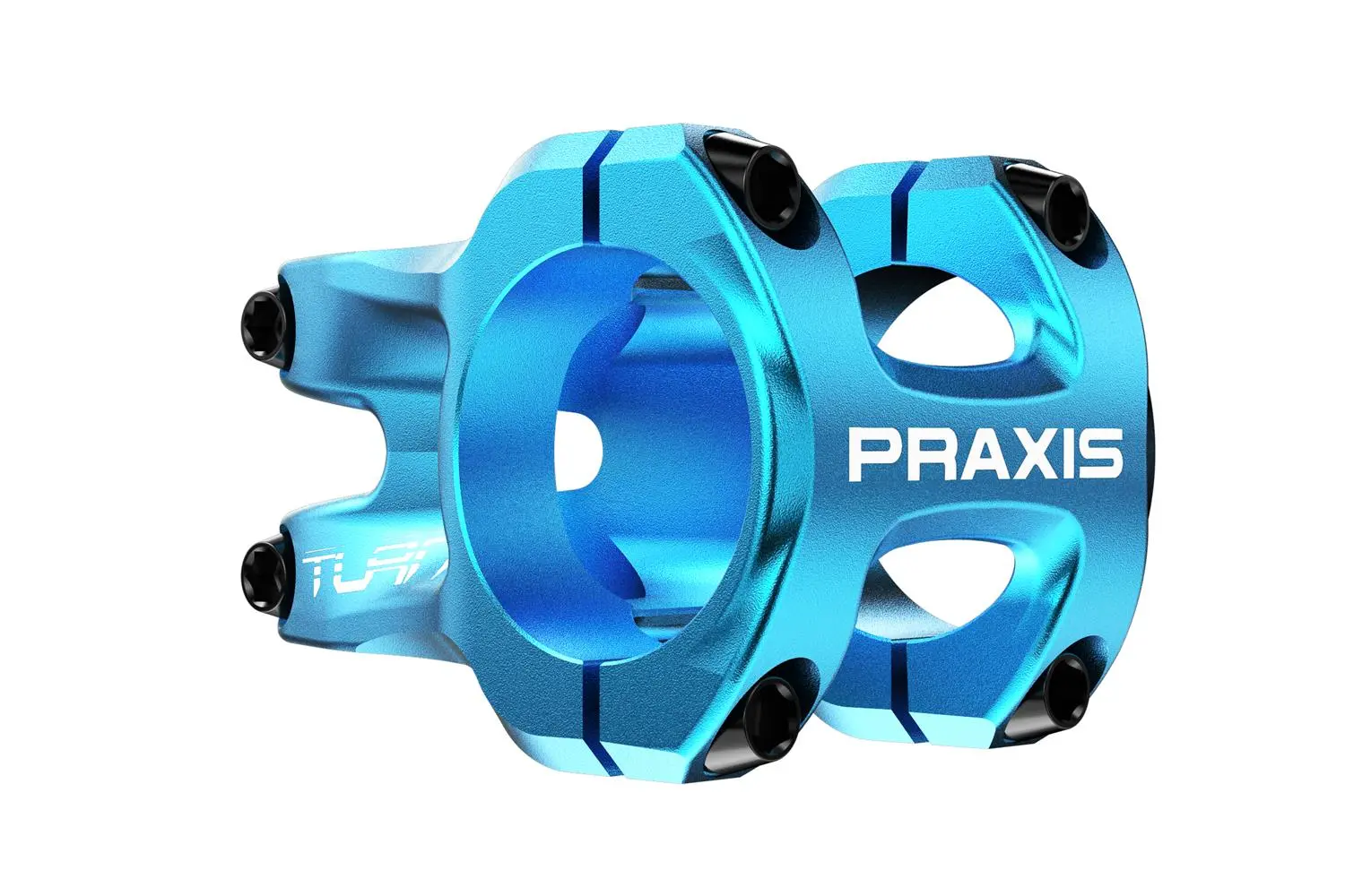 Praxis - Turn Stem