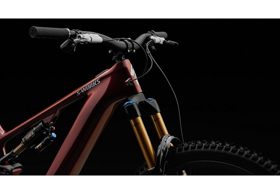 LEVO SW CARBON G4 image 32
