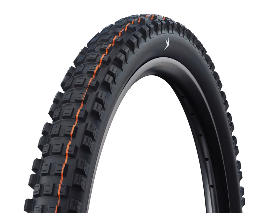 Schwalbe Eddy Current Radial 29