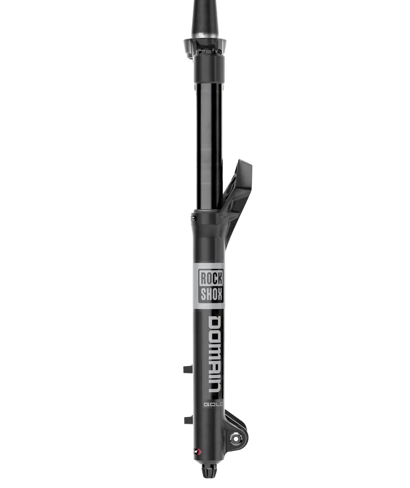 RockShox Domain Gold RC image 8