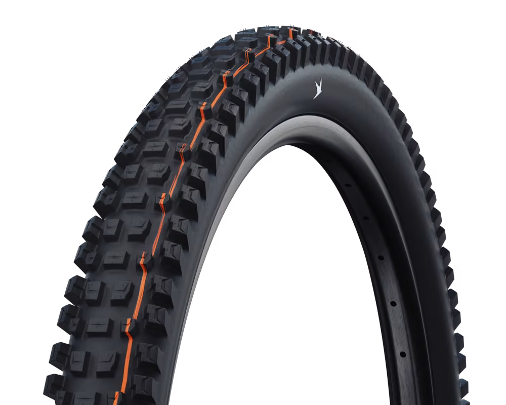 Schwalbe Albert Radial 29
