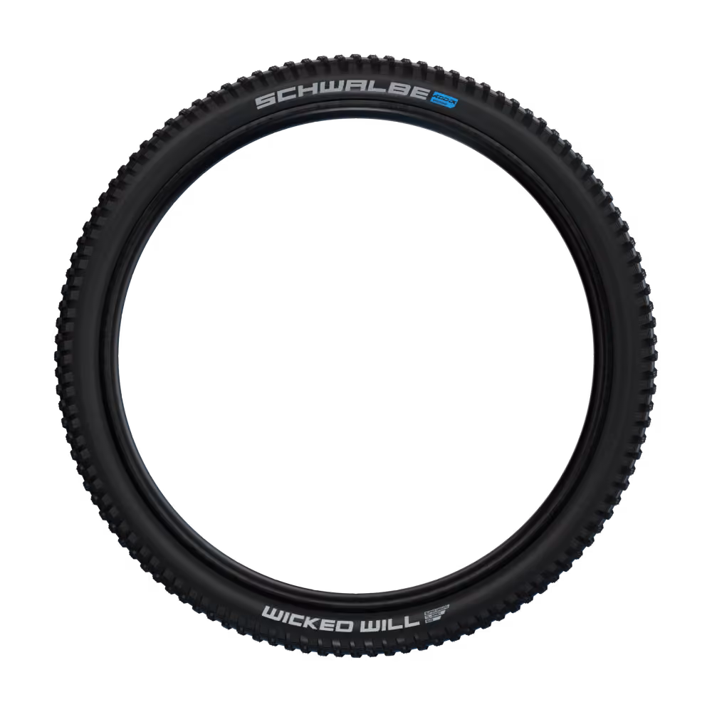 Schwalbe Wicked Will 29