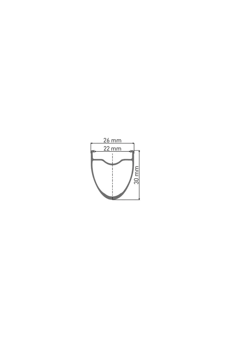 DT Swiss - E 550 Disc Brake Rim image 3