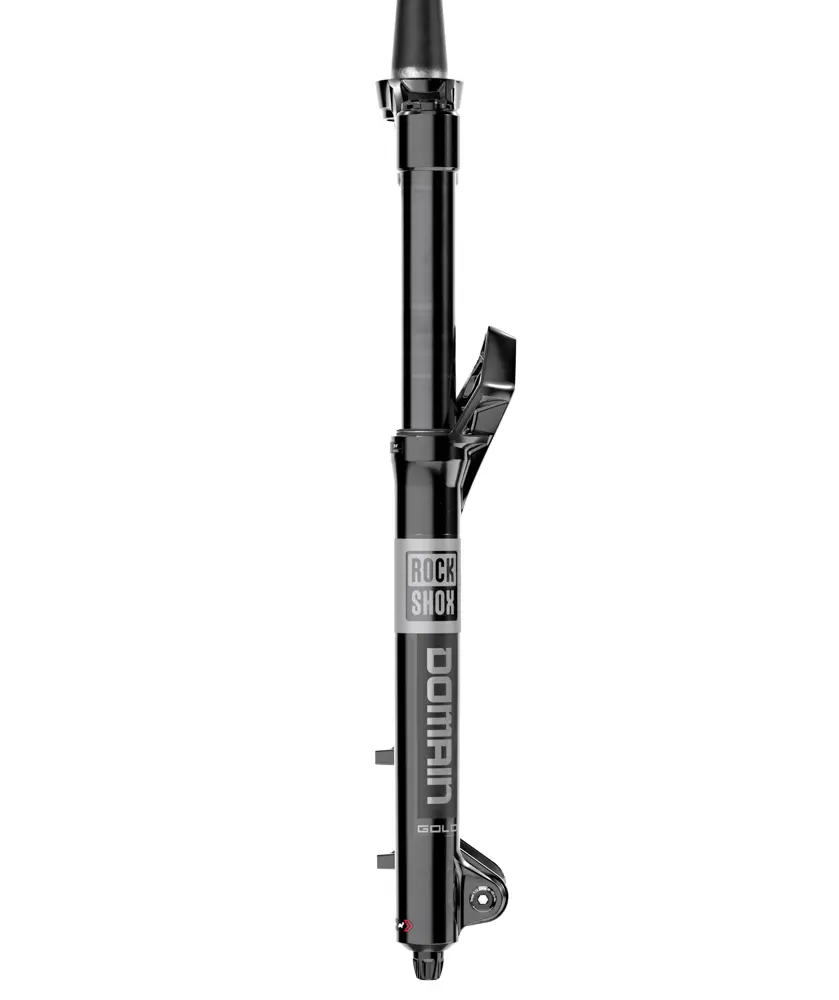 RockShox Domain Gold RC image 2