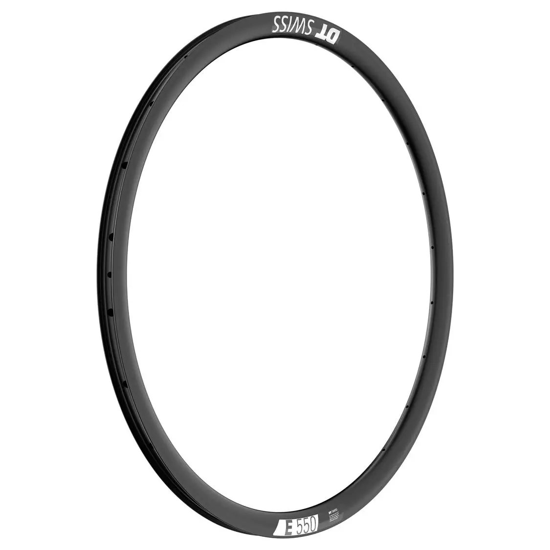DT Swiss - E 550 Disc Brake Rim image 2