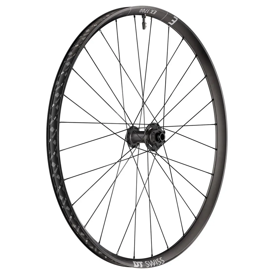 DT Swiss - EX 1700 29